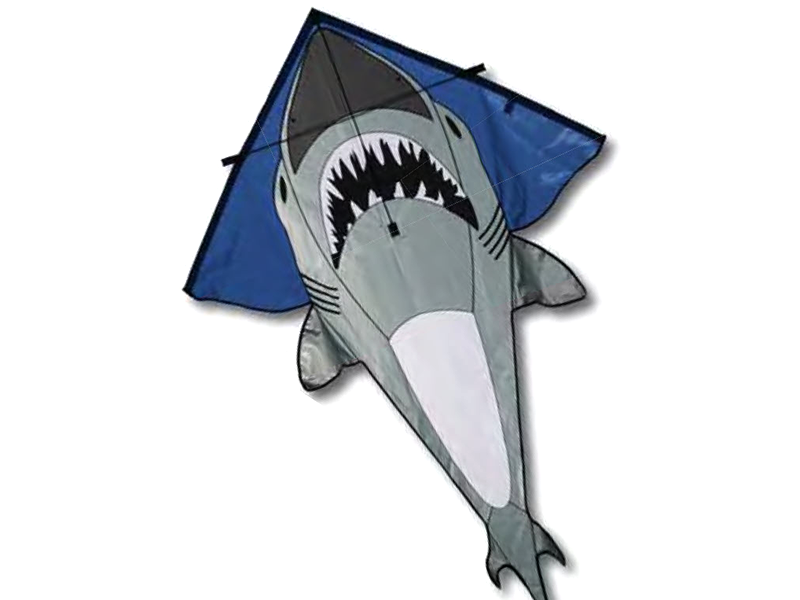 48" Shark Best Flier