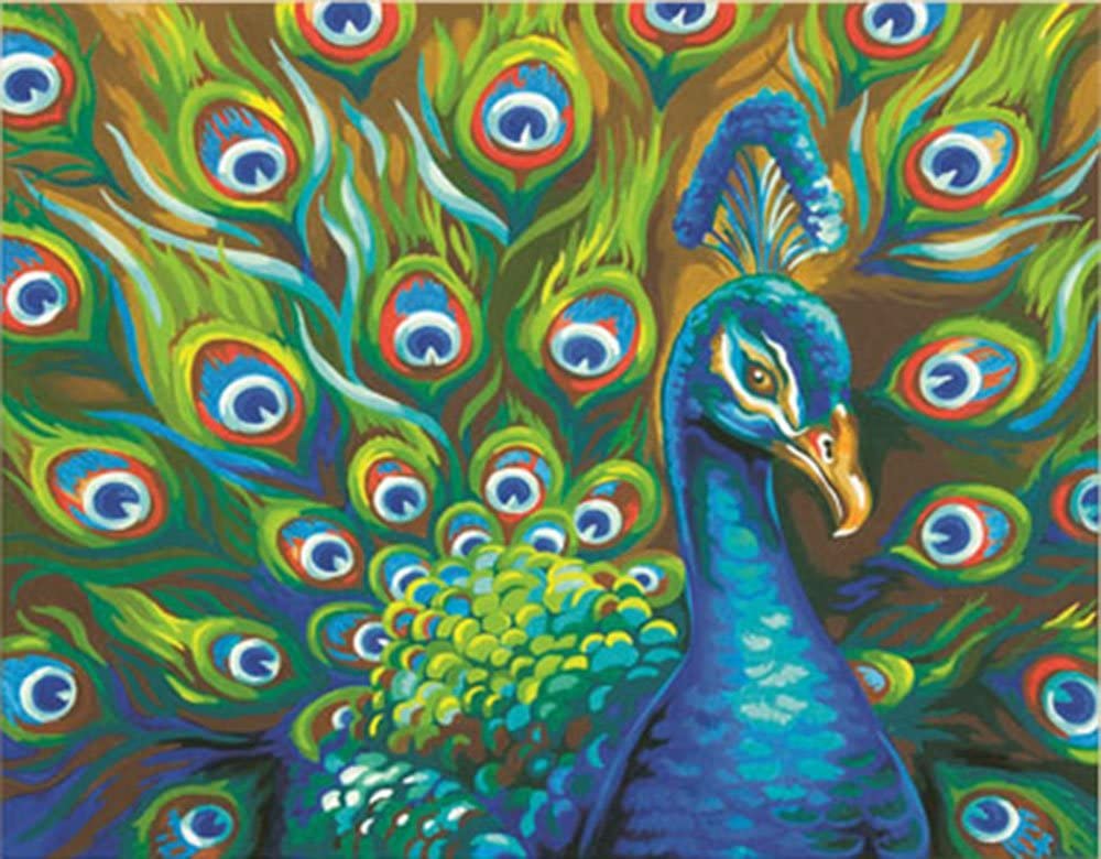 Wild Feathers (Peacock) Paint by Number (14