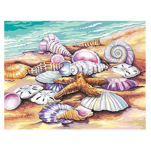 Shells (Sea Shore) Paint By Number 11"*14"