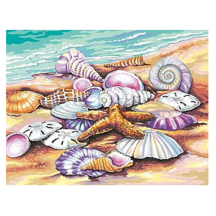 Shells (Sea Shore) Paint By Number 11
