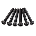 Screws Button-Head Machine 4x30 mm (6): 2598x