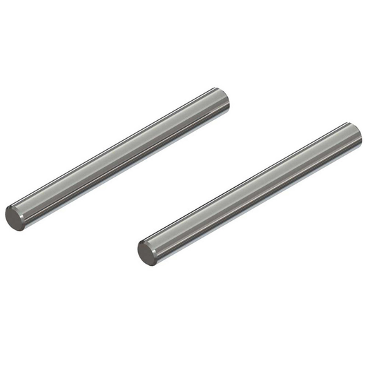 Hinge Pin Lower 3x31mm (2):  ARAC5028