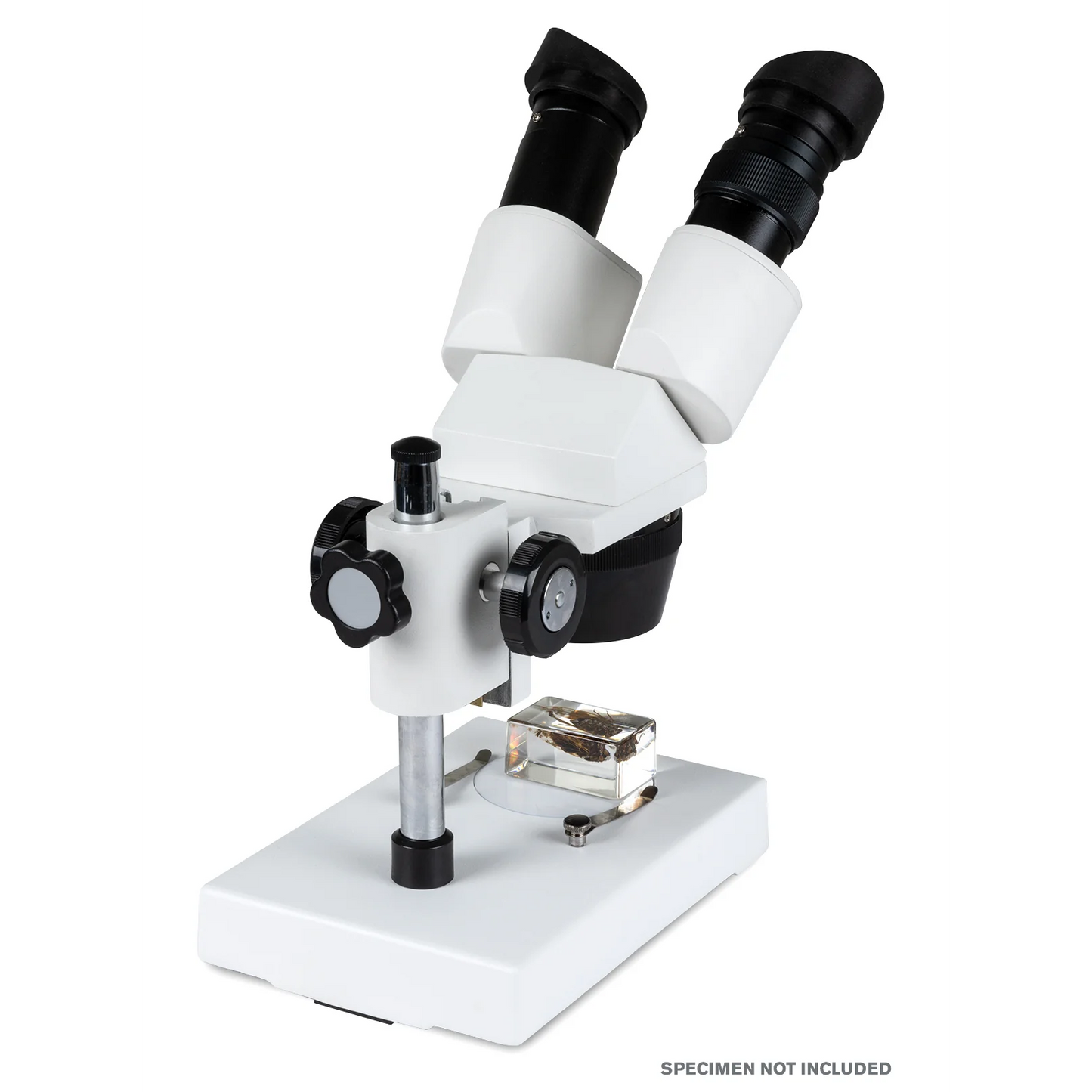 S1030N Compound Stereo Binocular Microscope, 10-30X