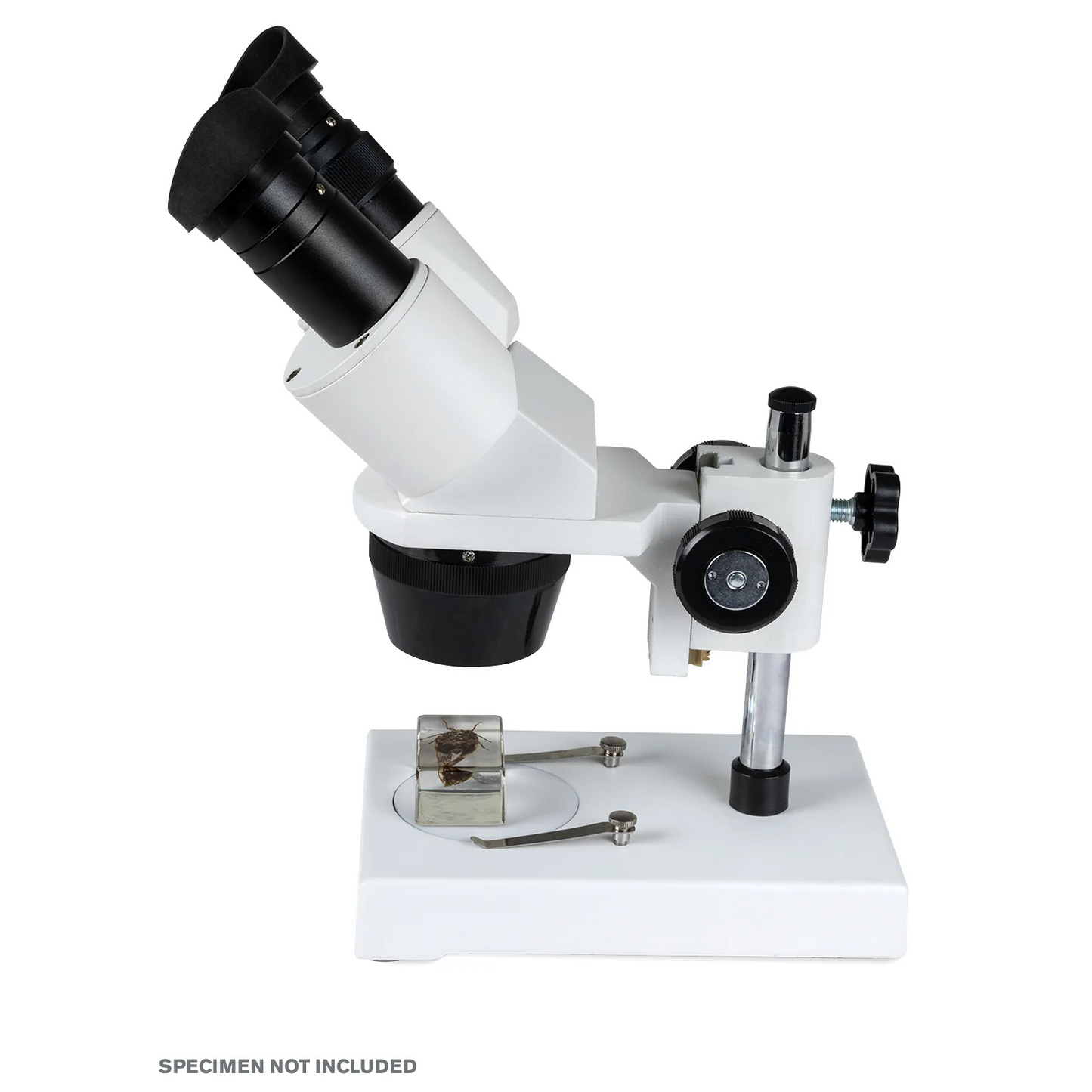 S1030N Compound Stereo Binocular Microscope, 10-30X
