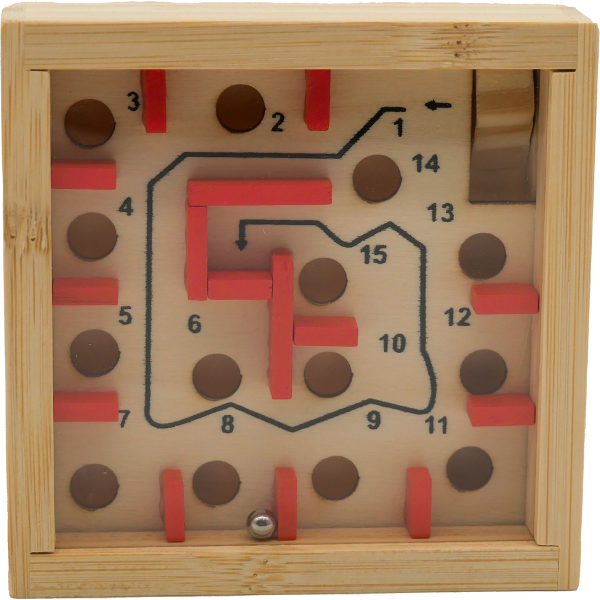 Project Genius The Great Coral Maze (EC302)