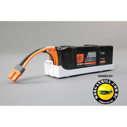 Removable Battery Tray: Carbon-Z Cub SS EFL12425