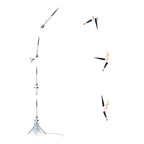 Estes So Long Model Rocket Kit (EST9722)