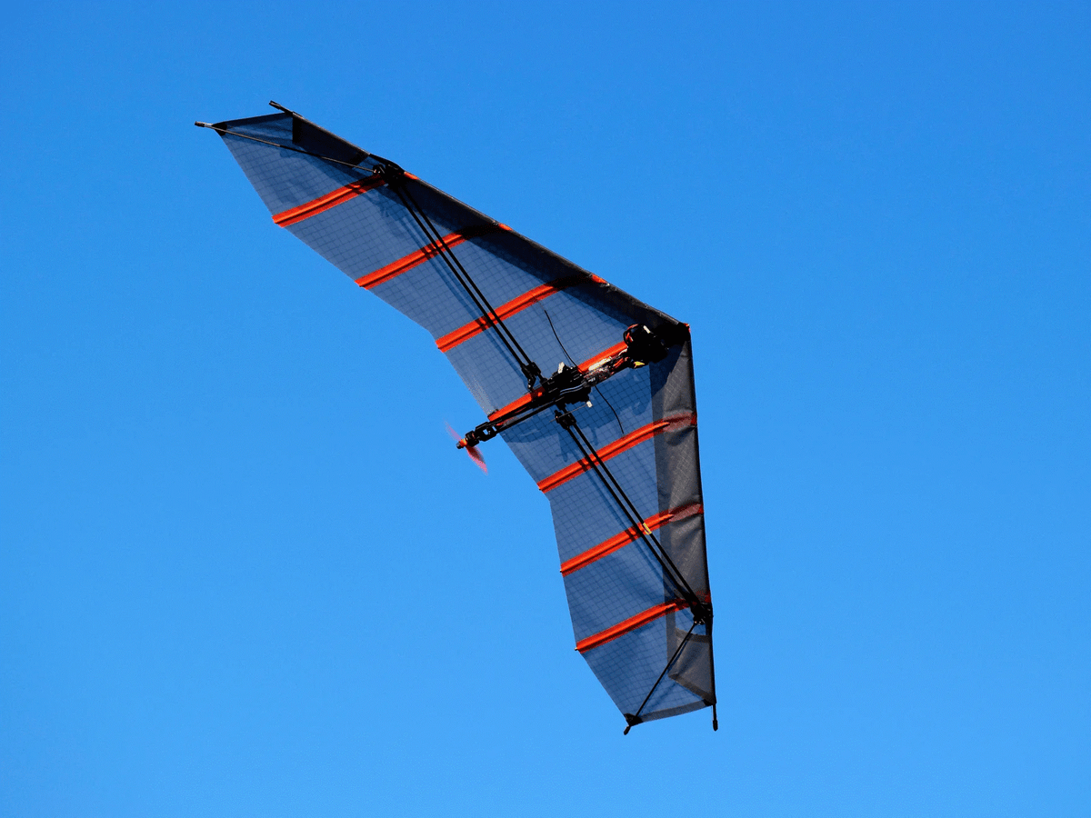 Aloft Carbon Falcon - Quick Build, Pink/Black (Falcon-Pink/Black)