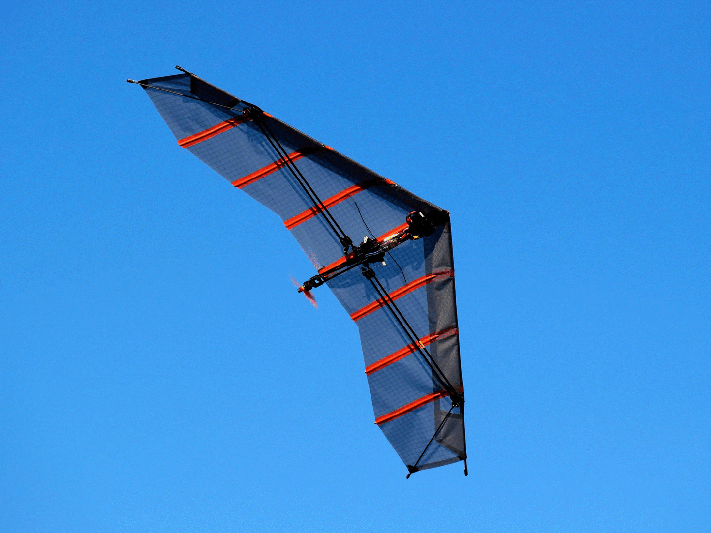 Carbon Falcon - Quick Build, Red/White/Blue