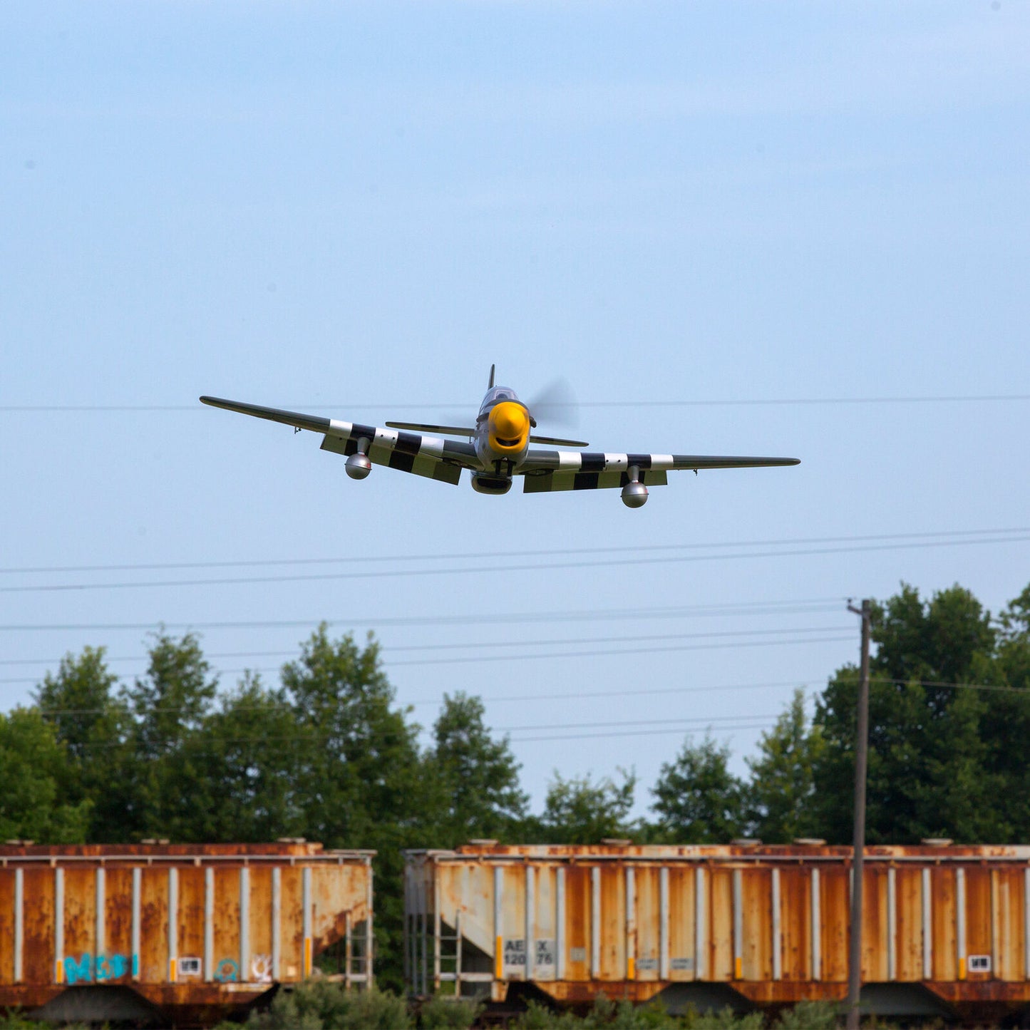 P-51D Mustang 20cc ARF