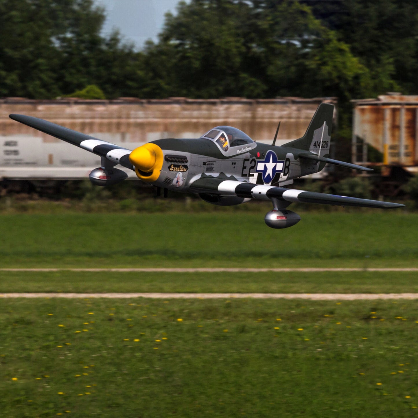 P-51D Mustang 20cc ARF  w/E-flite Retract Set