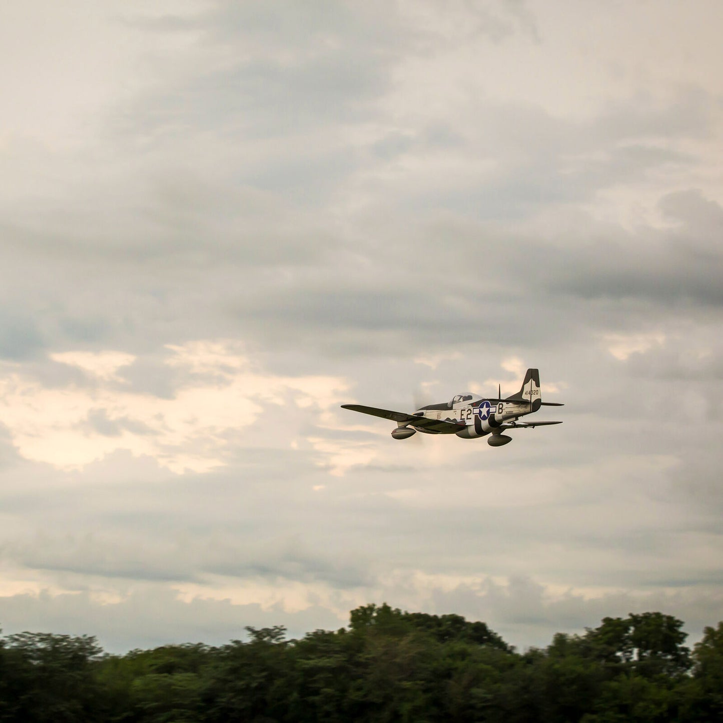 P-51D Mustang 20cc ARF