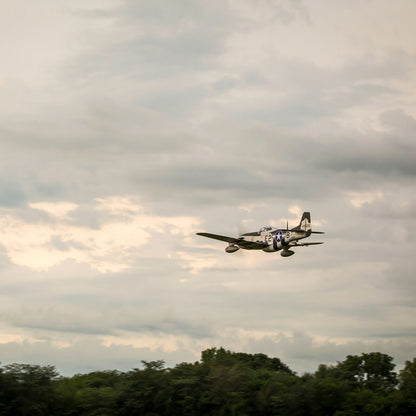 P-51D Mustang 20cc ARF  w/E-flite Retract Set