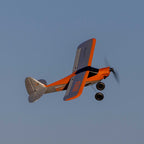 XCub 450mm RTF