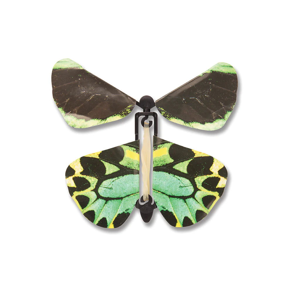 Wind up Butterflies