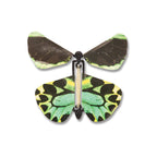 Wind up Butterflies