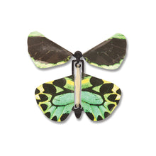 Load image into Gallery viewer, Wind up Butterflies
