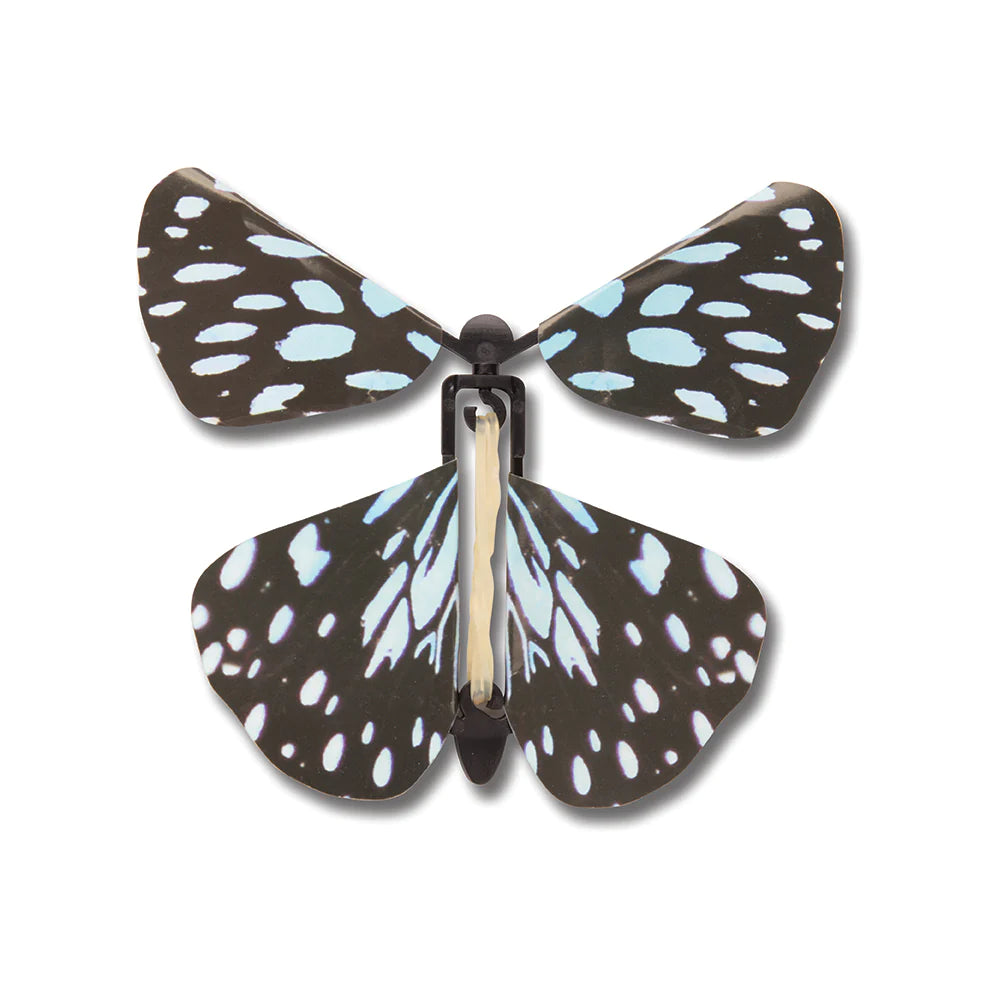 Wind up Butterflies