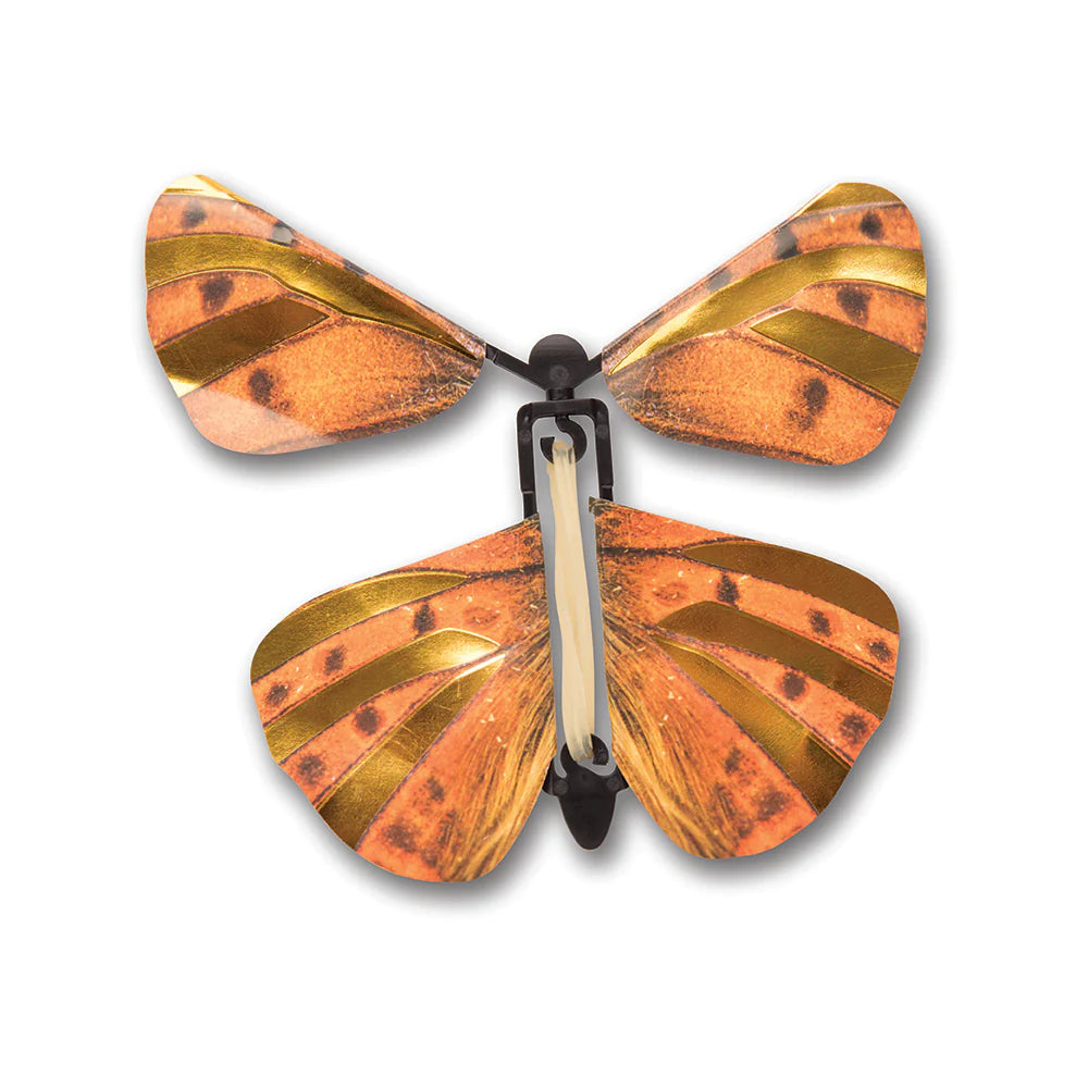 Wind up Butterflies