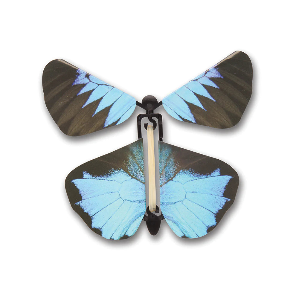 Wind up Butterflies