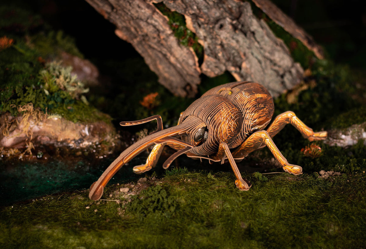Weevil 3D Kraft Paper Puzzle :MKBB0004