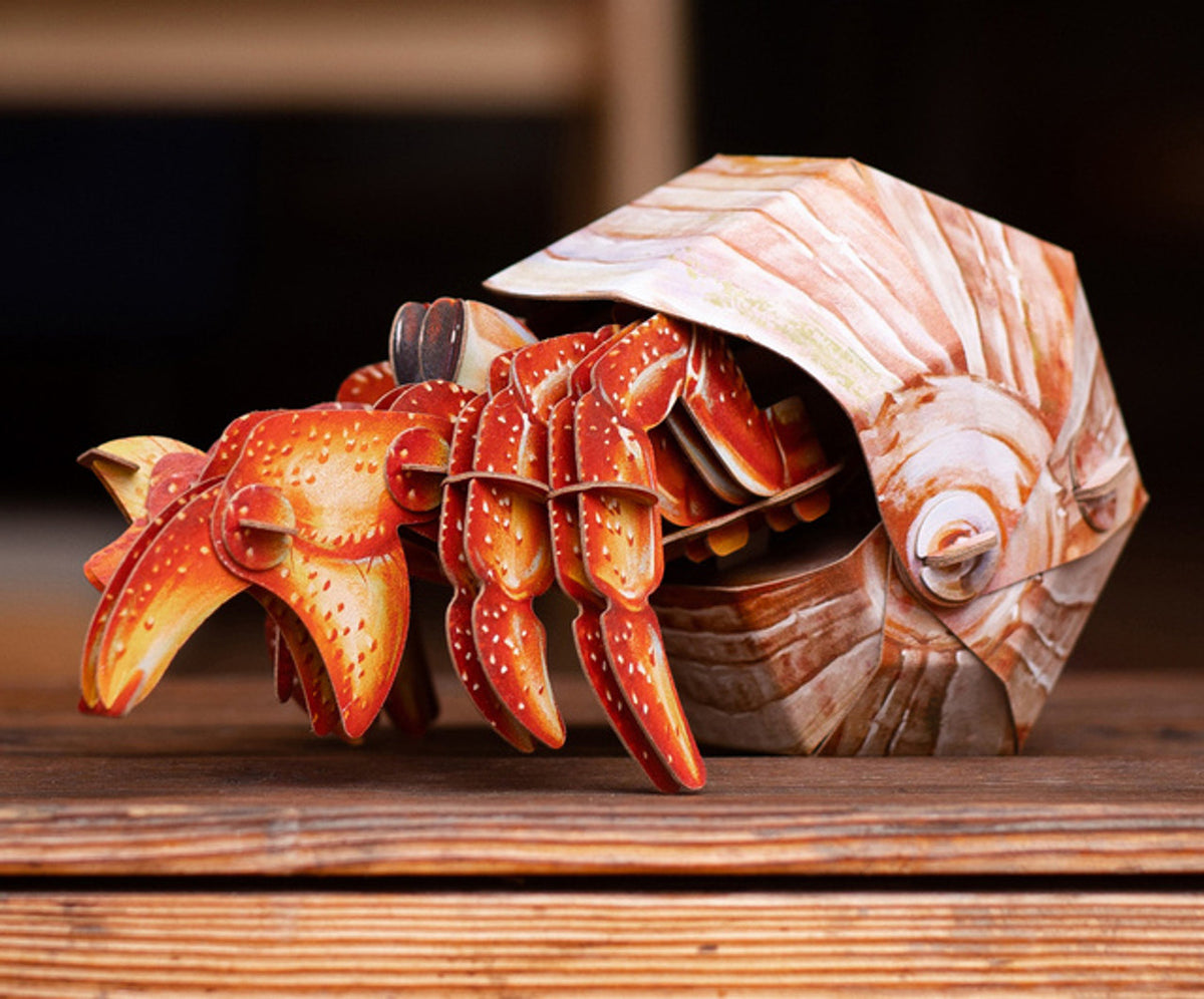 Hermit Crab 3D Kraft Paper Puzzle :MKBB0008