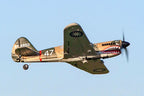 Rage Curtiss P-40 Warhawk Micro RTF Airplane with PASS System (RGRA1305)