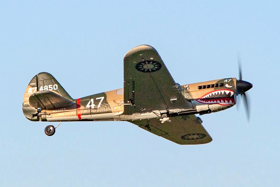Rage Curtiss P-40 Warhawk Micro RTF Airplane with PASS System (RGRA1305)