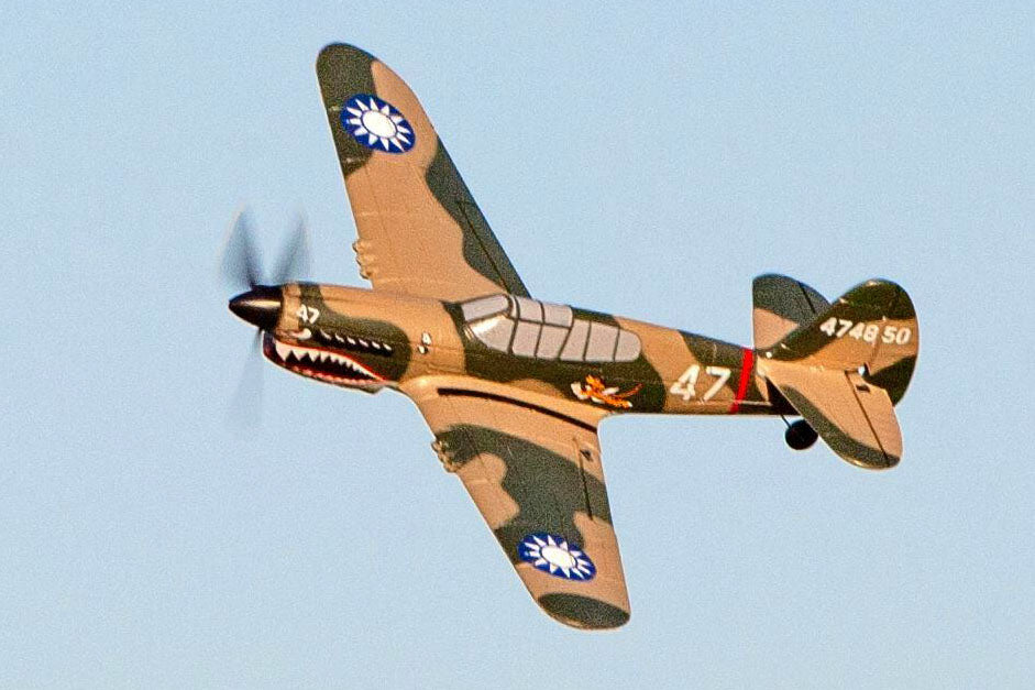 Rage Curtiss P-40 Warhawk Micro RTF Airplane with PASS System (RGRA1305)
