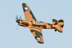 Rage Curtiss P-40 Warhawk Micro RTF Airplane with PASS System (RGRA1305)
