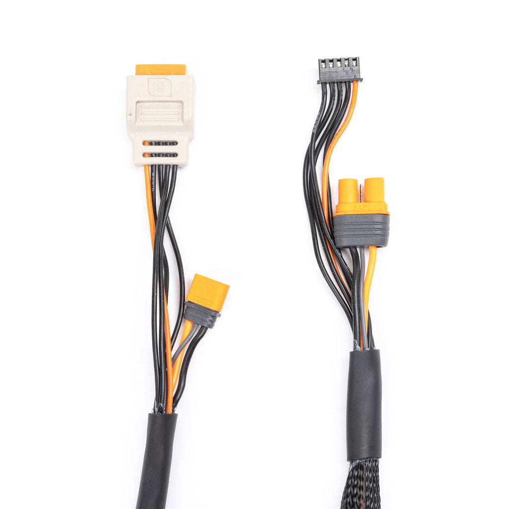 Charge lead w/Bal Ext. 24 inch IC2, 2 -45