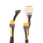 Charge lead w/Bal Ext. 24 inch IC3, 2 - 4S