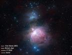 Celestron Advanced VX 8" Rowe Ackermann Schmidt Astro (12032)