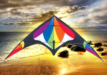 Load image into Gallery viewer, Freebird Rainbow
