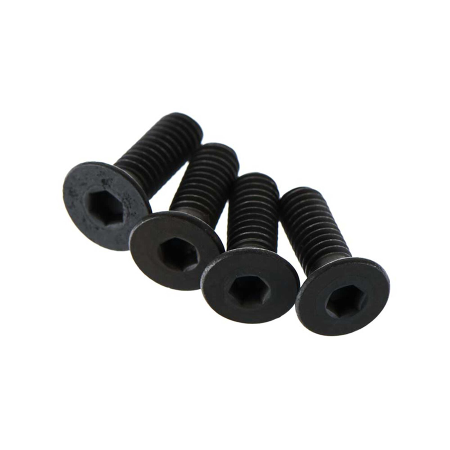 Flat Head Screw M4x12mm (4): ARAC9891