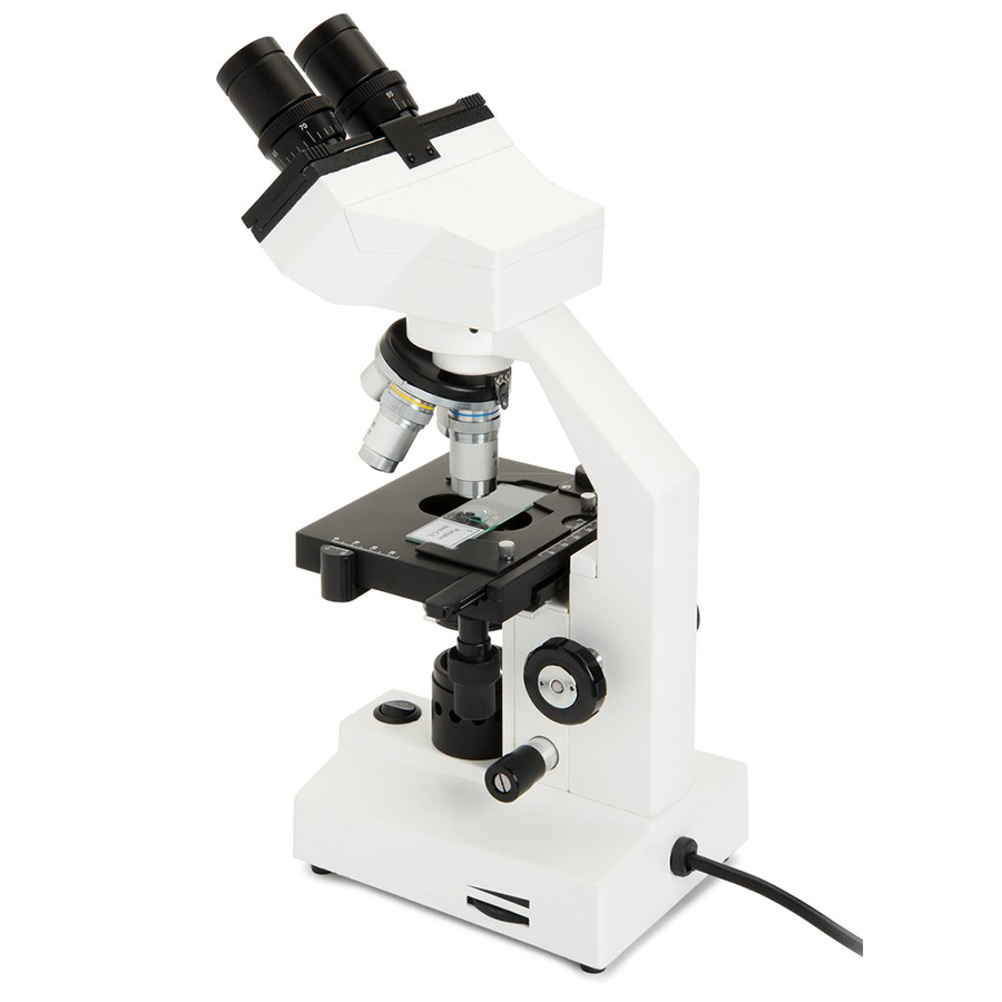 Celestron CB1000CF Compound Binocular Microscope, 40-1000X (44135)