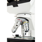 Celestron CB1000CF Compound Binocular Microscope, 40-1000X (44135)