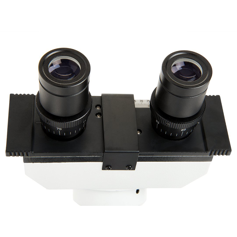 Celestron CB1000CF Compound Binocular Microscope, 40-1000X (44135)