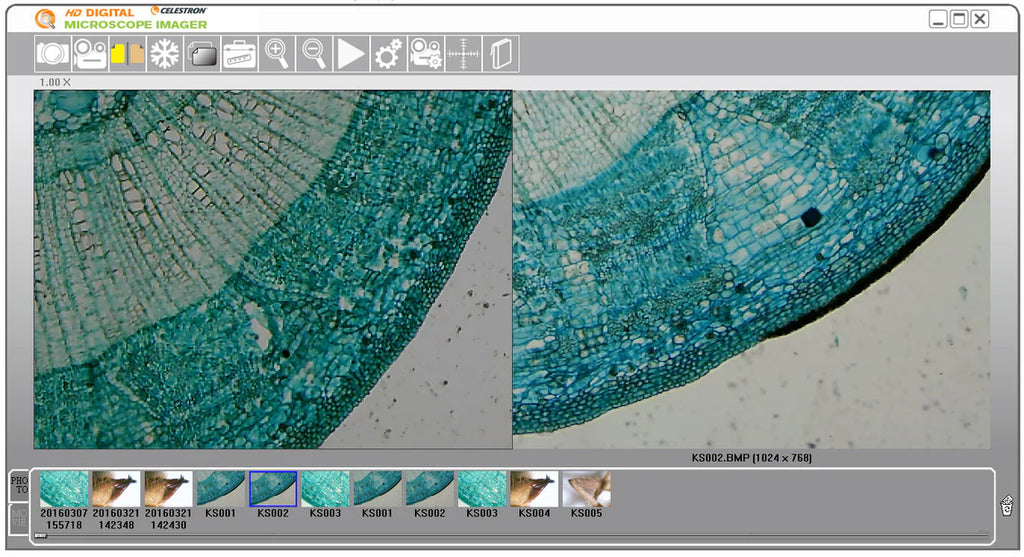 Digital Microscope Imager HD 5MP