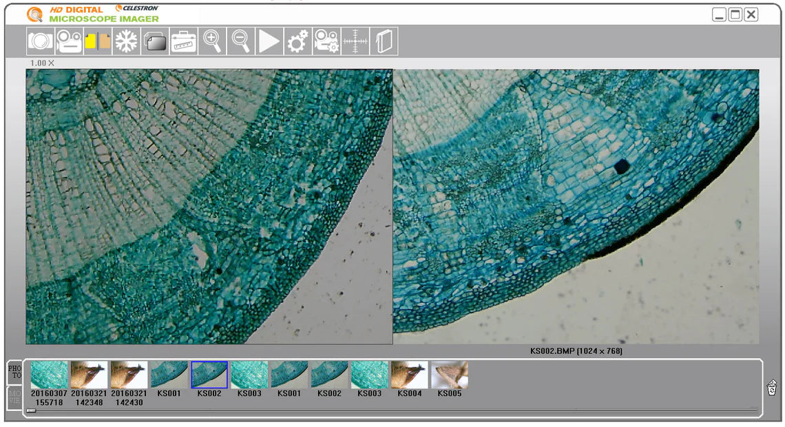 Digital Microscope Imager HD 5MP