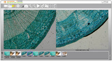 Load image into Gallery viewer, Digital Microscope Imager HD 5MP
