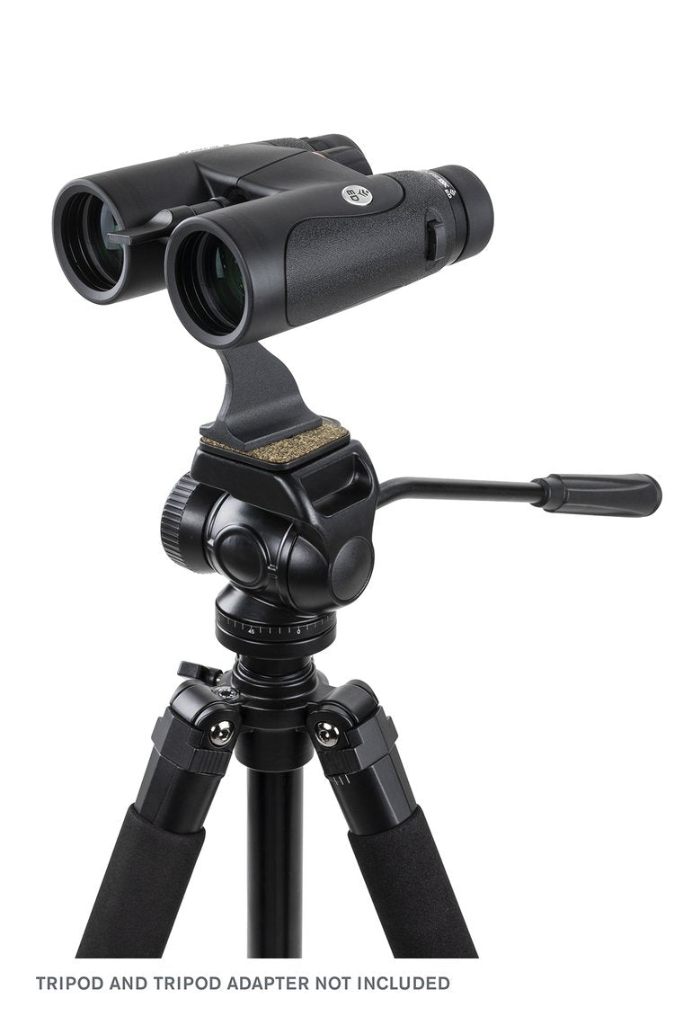 Celestron Nature DX ED 8x42 binoculars, alternate view