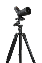 Celestron Tripod Hummingbird Fast Action Pan Tilt Head (82051)
