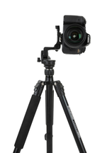 Celestron Tripod Hummingbird Fast Action Pan Tilt Head (82051)