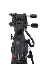 Celestron Advanced VX Equatorial Mount with 94286 12lb Counterweight (91519)