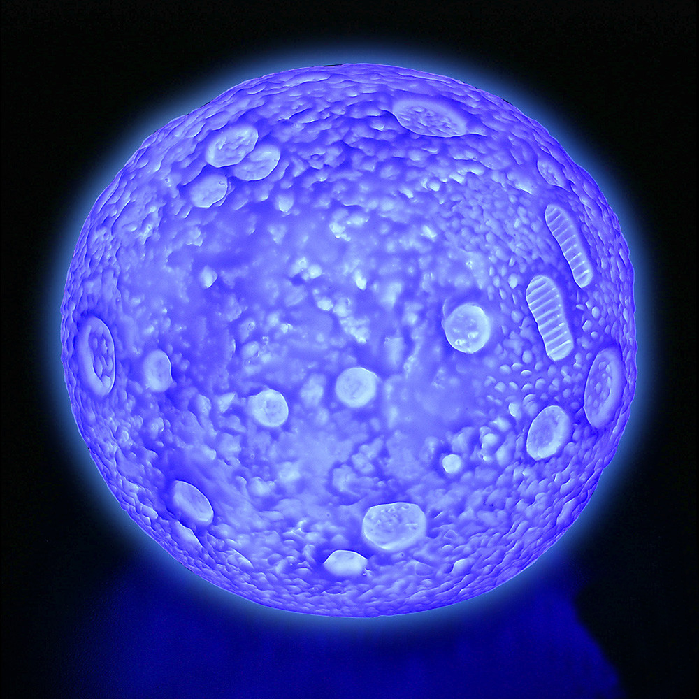Color Changing Moon Light – Atlanta Hobby