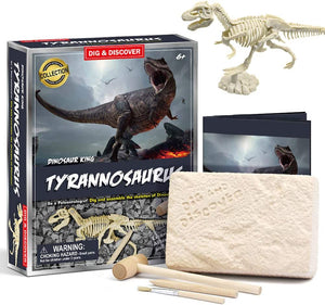 Dinosaur Fossil Dig Excavation Kit