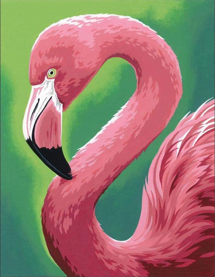 Flamingo Fun Paint by Number (11