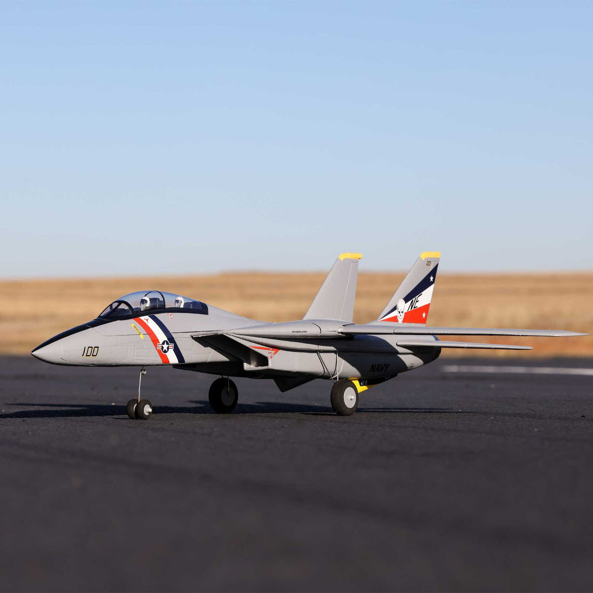 E-flite F-14 Tomcat Twin 40mm EDF BNF Basic (EFL01450)