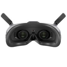 Load image into Gallery viewer, DJI Goggles 2
